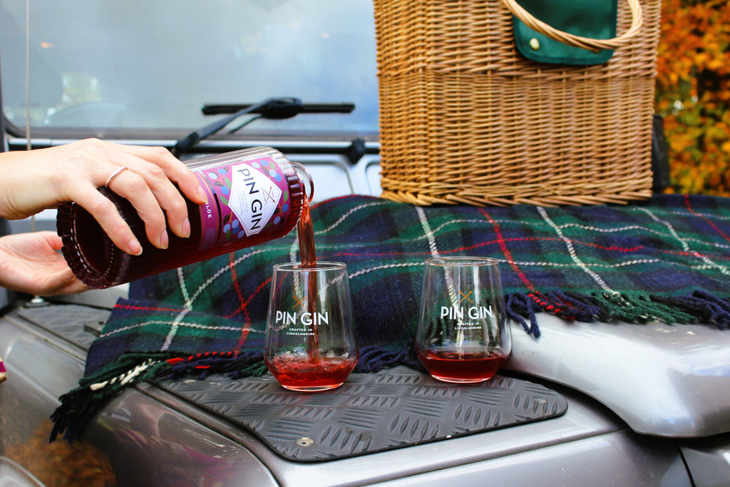 Pin Gin - Sloe 70cl CASE DEAL image 2