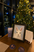 Pin Gin & Pastels - 19th November 6pm